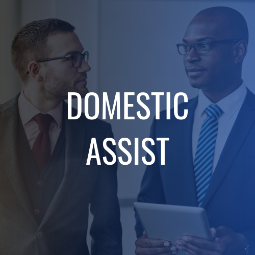 domestic assistance